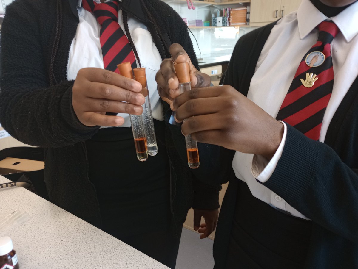 StJoAcadSci's tweet photo. S4 Chemists testing for unsaturation. @StJoAcad #Ambition https://t.co/Y6prrvkmRQ