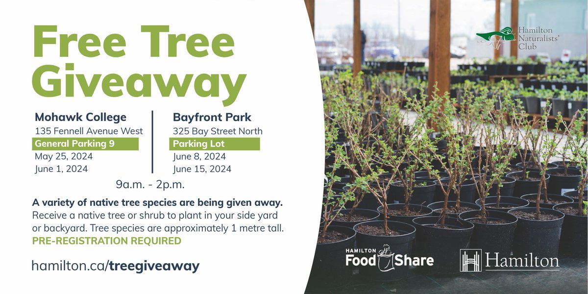 Don’t miss our Free Tree Giveaway this Saturday, May 25 (9am–2pm) at Mohawk College! Pre-registration is required. Select your native tree or shrub and register at: hamilton.ca/treegiveaway. One tree per property. Must present driver’s license or property tax bill. #HamOnt