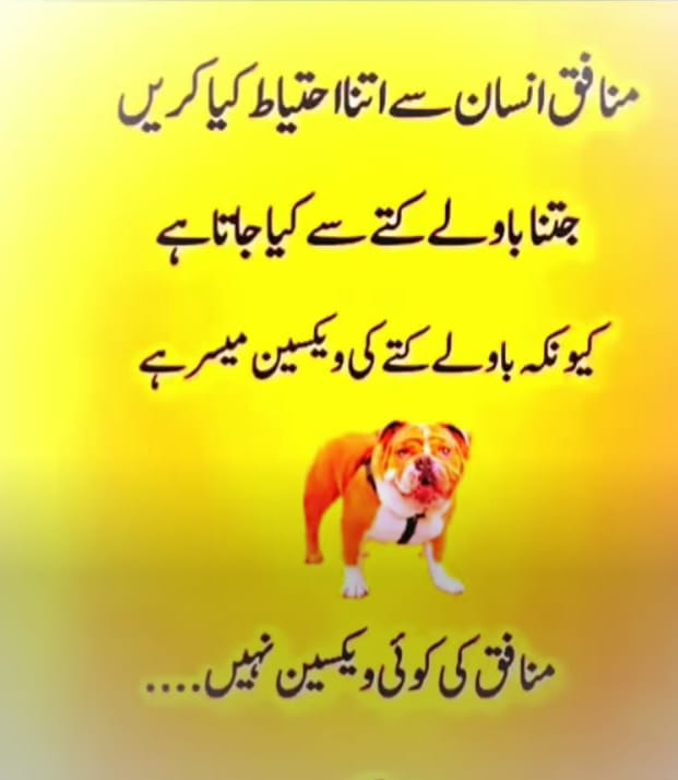 پوسٹ کو پڑھیں اور کمنٹس کریں کہ کیا ایسا ہی ہے