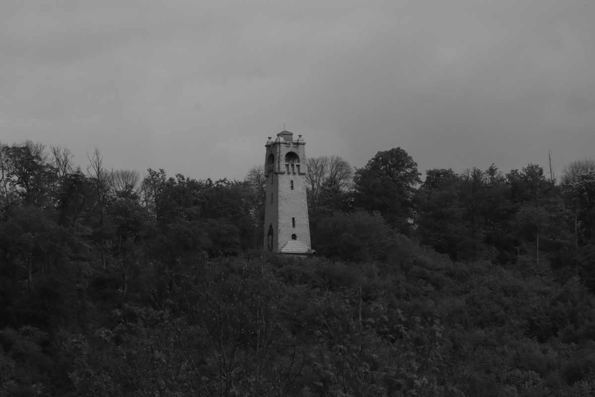 #photo #photography #blackandwhite #landscape #nature #monochrome #landscapephotography #trees #blackandwhitephotography #Bismarckturm #tower