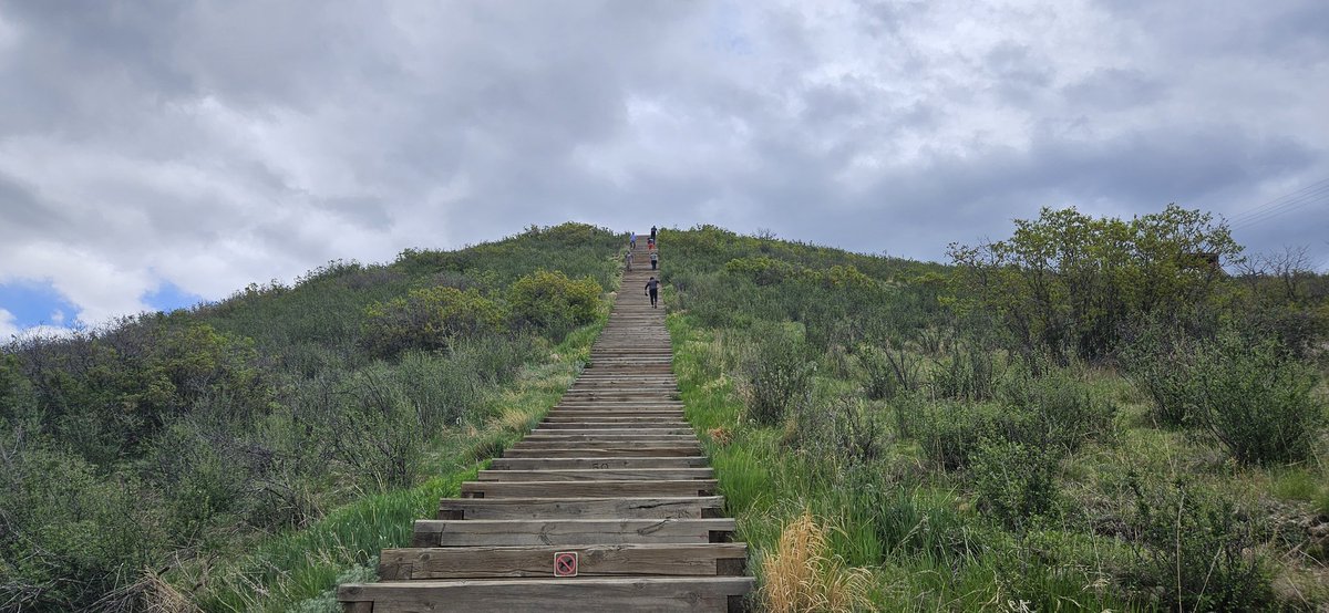 brennan_vogt's tweet photo. Wait this isn't the hockey rink....Back is feeling great, so on my way up, literally 😅 #RockinIt #Incline #GettingHealth https://t.co/FhGKNEx3Cb