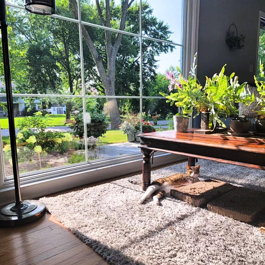 Thinking about replacing your windows? @RenewalByAnders says:  ✔️ Always include installation ✔️ Made from Fibrex® (2x stronger than vinyl!) ✔️ Have your pet's approval 😉  Upgrade your home today!  #famousfoodfestival2024 #ReplacementWindows #HomeImprovement #Fibrex #PetApproved