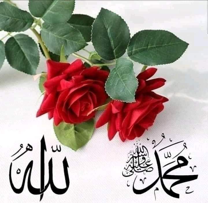 semaceyhanlassi's tweet photo. • #Kovmaz ki kapıdan, #sen yeter ki #gitmeyi bil. ﷻ ... https://t.co/Tsk28l48Q4