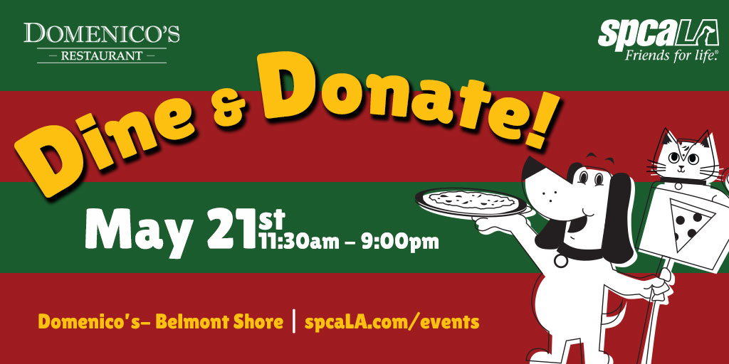Join us for a Dine & Donate at Domenico’s Restaurant! Enjoy pizza, pastas, and salads while raising money for spcaLA. Present this flyer and Domenico’s will donate 25% of your check to help shelter pets! Good for dine-in/take-out 11:30am-9:00pm ibit.ly/Qp6WX