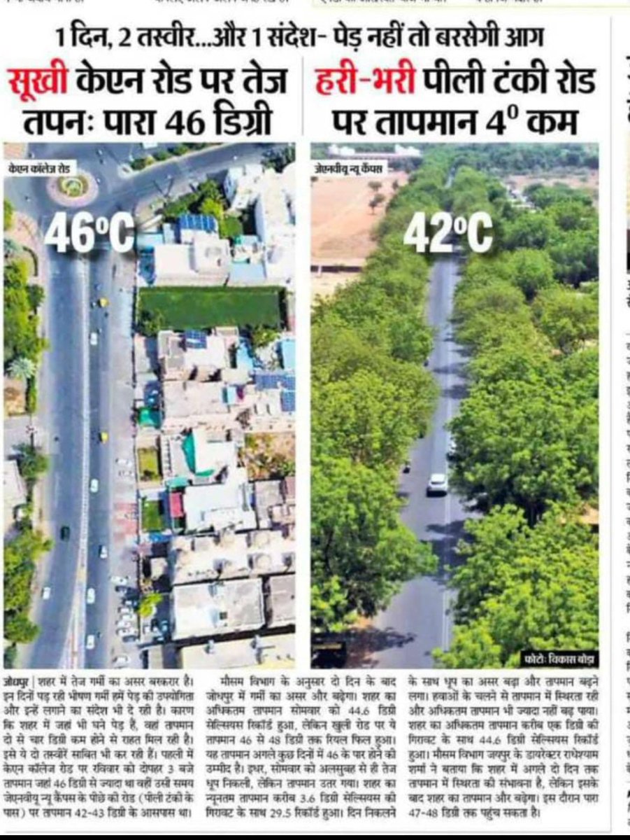 अधिकाधिक संख्या में वृक्षारोपण करें 
#savetrees
#saveenvironment