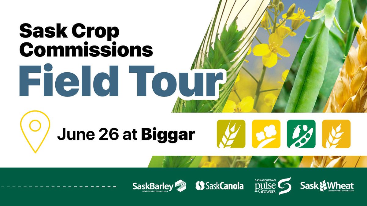 Want to learn more about the latest on-farm research? Join us 06/26 as we explore barley, canola, pulse and wheat field trials in the Biggar, SK area. 

Register at: saskpulse.com/events/2024-sa…

#SaskAg #Grow24 
@SaskWheat @SaskPulse @SaskCanola
