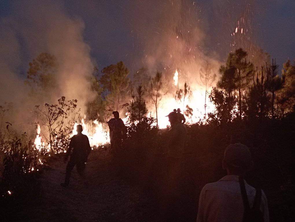 Cuerpo de guardabosques y trabajadores de la forestal trabajan intensamente para extinguir incendio de grandes proporciones en el municipio #SanJuanYMartínez #PinardelRío