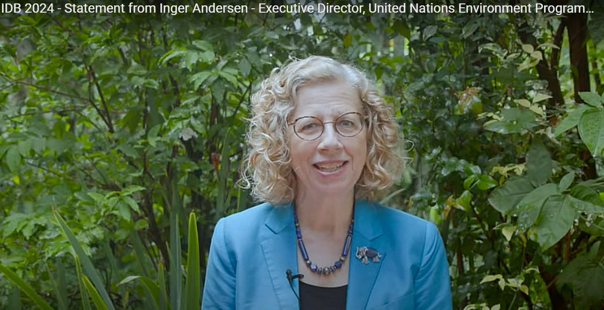 This #BiodiversityDay 2024, join @andersen_inger ED of @UNEP to be #PartOfThePlan. Let's embrace a societal strategy to conserve & rejuvenate biodiversity. Together, let's realize the objectives of the #BiodiversityPlan for a sustainable planet. 📽️Watch:cbd.int/biodiversity-d…