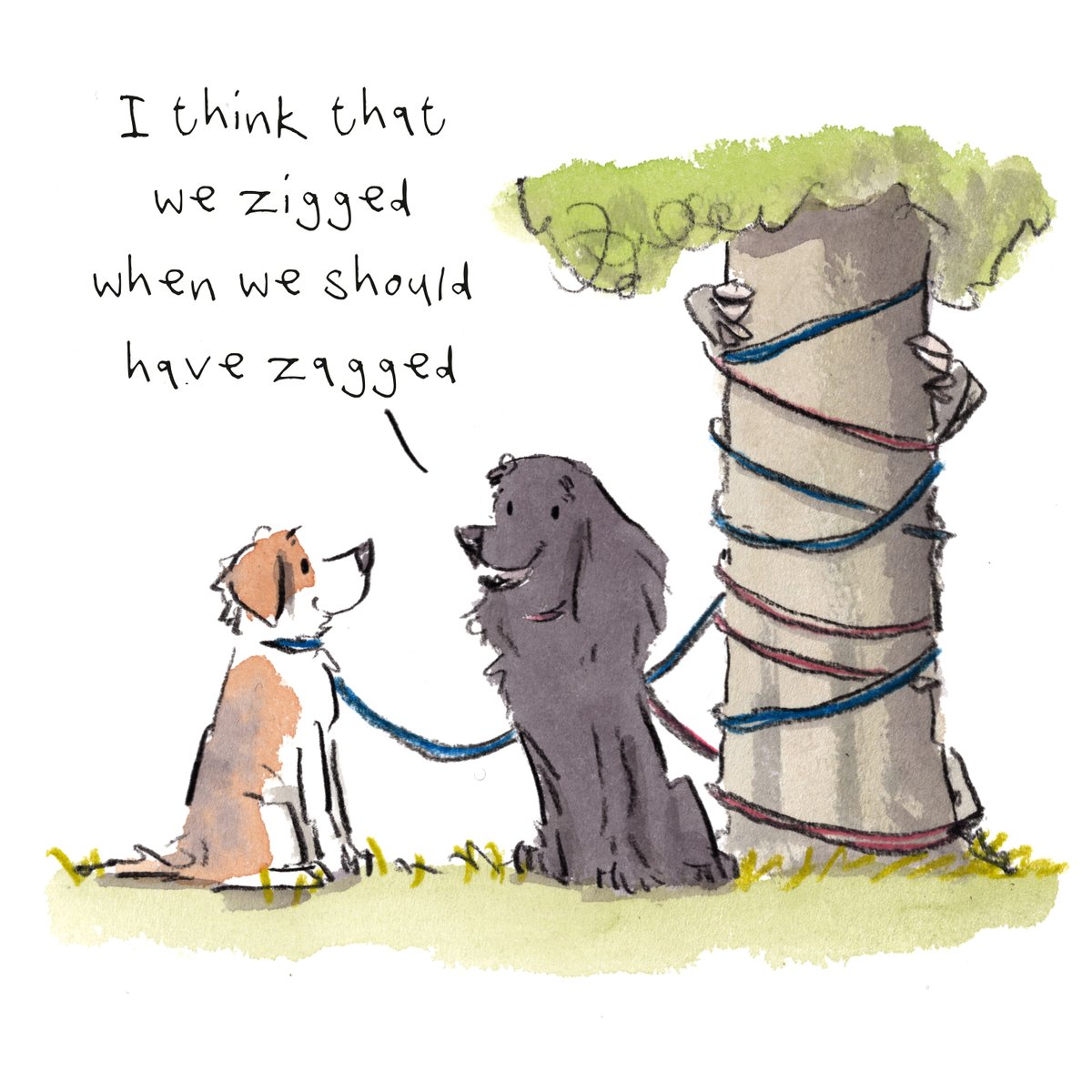 I hope that you are having a really fab day so far, lovely people and lovely dogs. 
These two zigged when they should have zagged...
I am wishing you the very best for the rest of your day. 
#hoorayfordogs #dogwalking