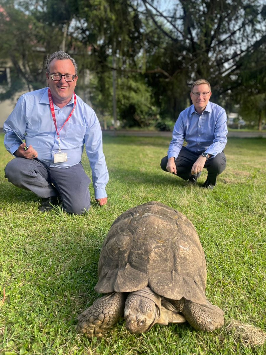 Pleased to host @OfficialZSL’s @matthewsgould together with an ancient friend 🐢 @OfficialZSL is in town to discuss ways to collaborate with 🇪🇹 to preserve the country’s remarkable biodiversity. A great example of the breadth of the UK-ET partnership.