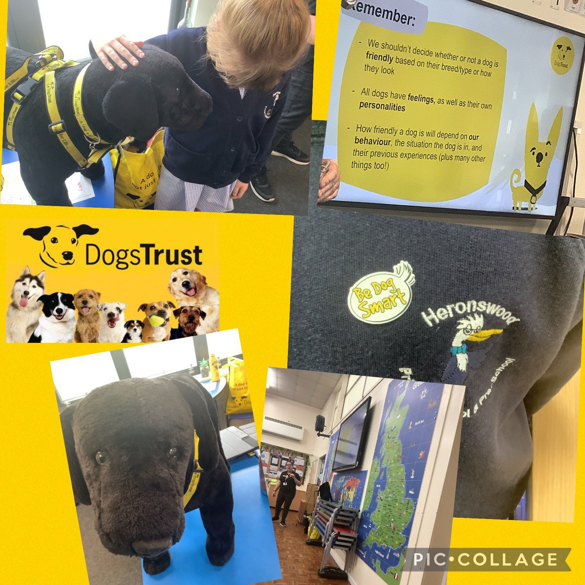 Heronswood took part in a special Dogs Trust assembly today! Thank you to Charlotte who is leading workshops with each class teaching us to be 'Dog Smart' #dogstrust #bedogsmart