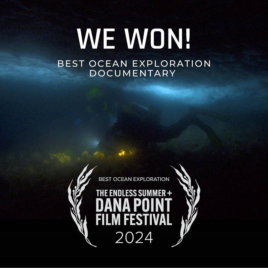 Diving in the Darkness Wins Best Ocean Exploration Documentary at Dana Point Film Festival 

🤿 👉  buff.ly/3USyTsl