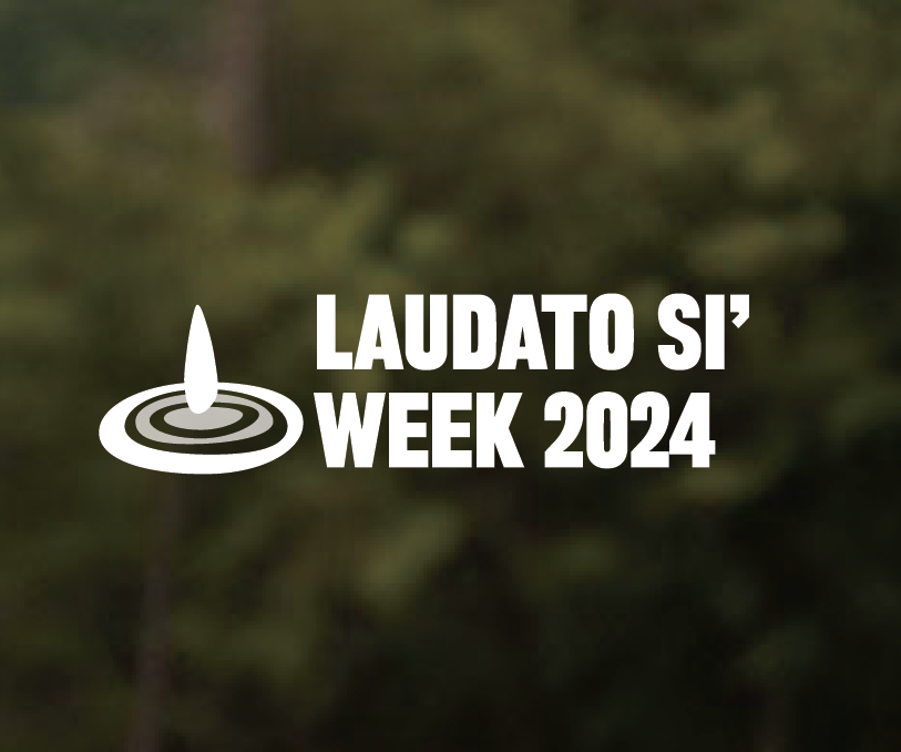Seeds of Hope is the theme that inspires Laudato Si' Week 2024. Let's be seeds of hope in our lives and in our world, rooted in faith and love. There is a week full of activities for our common home. More details at laudatosiweek.org #LaudatoSiWeek #SeedsOfHope