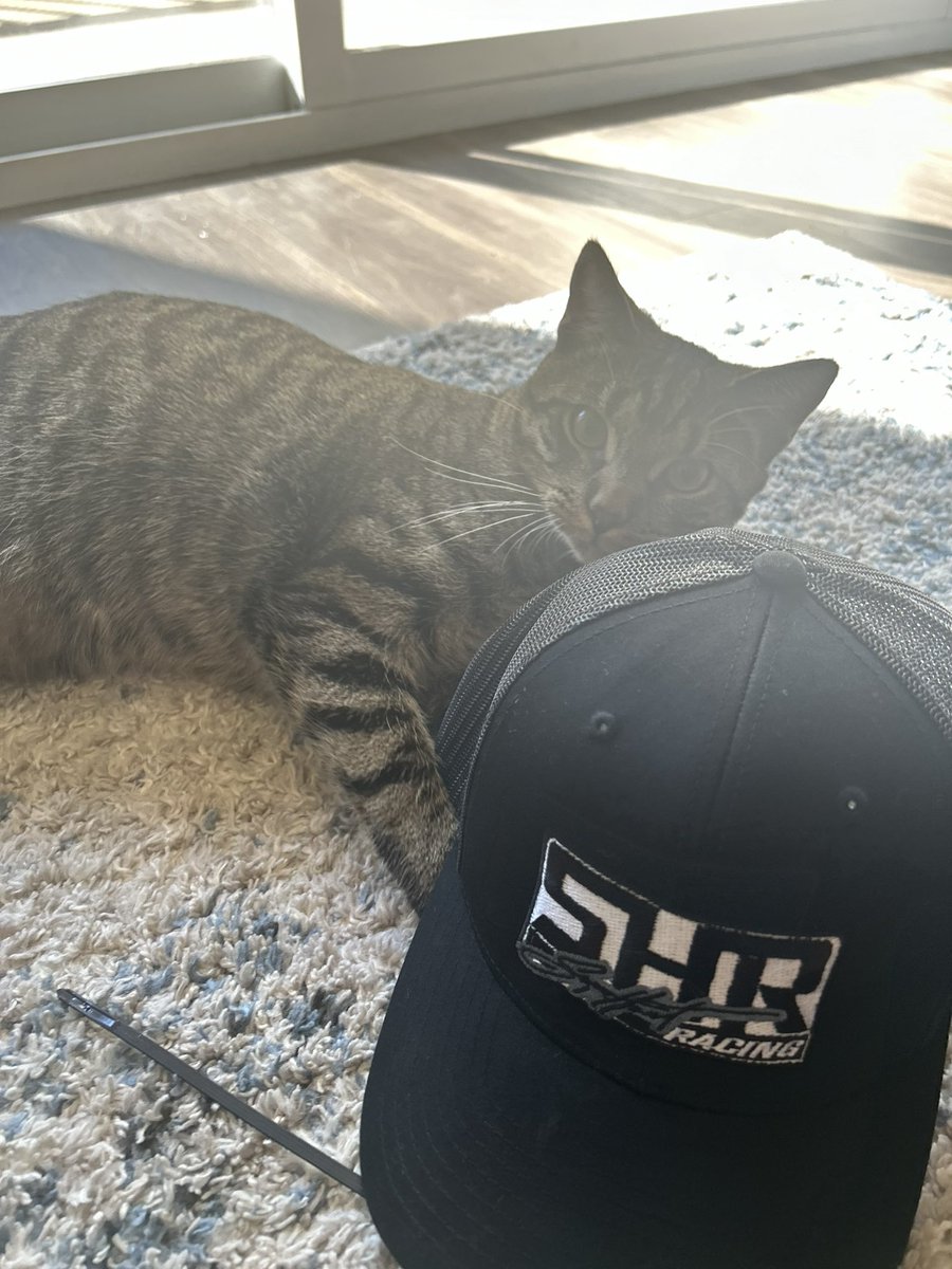 Theo likes my new hats