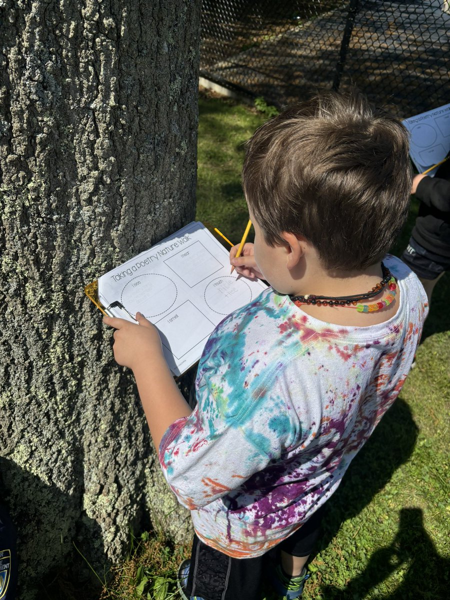 msgalloteaches's tweet photo. Today we took a nature walk for our poetry unit ! We are looking for things to smell, hear, touch and see in nature ! #SucessAtCRES #IslipRising https://t.co/GYNr4OCSHr