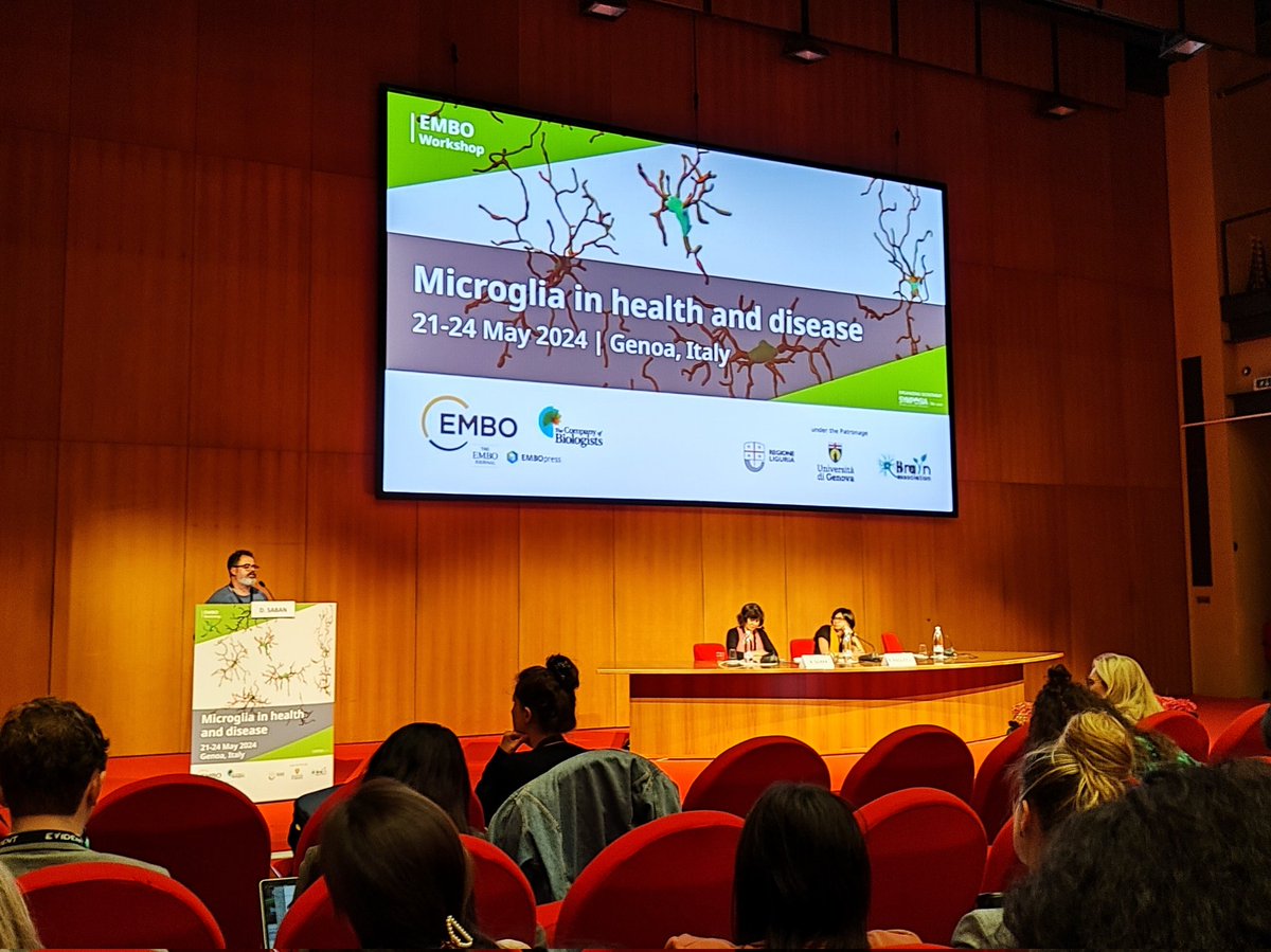 SoriaFN's tweet image. Ready for some #microglia in beautiful Genova. #EMBO