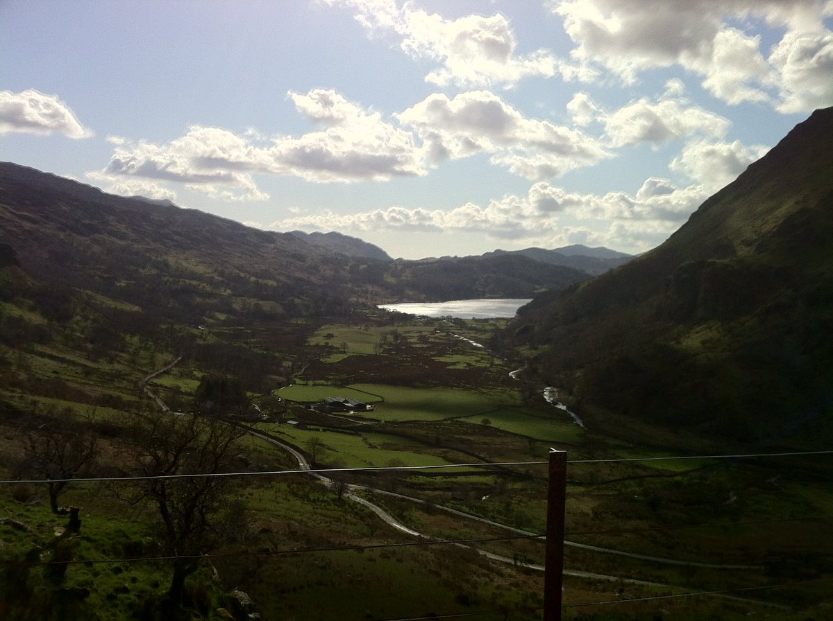 Michael Morgan-Jones tweet media