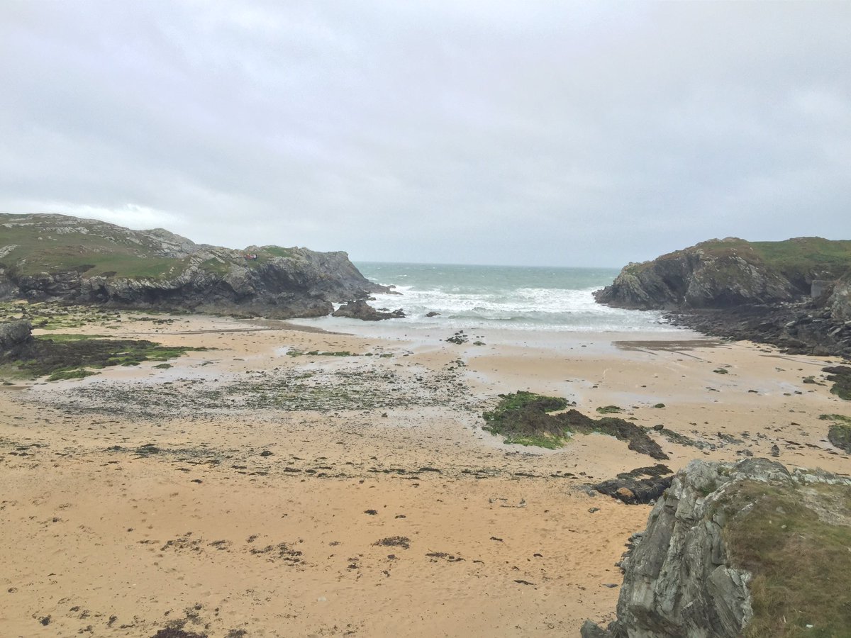 Michael Morgan-Jones tweet media