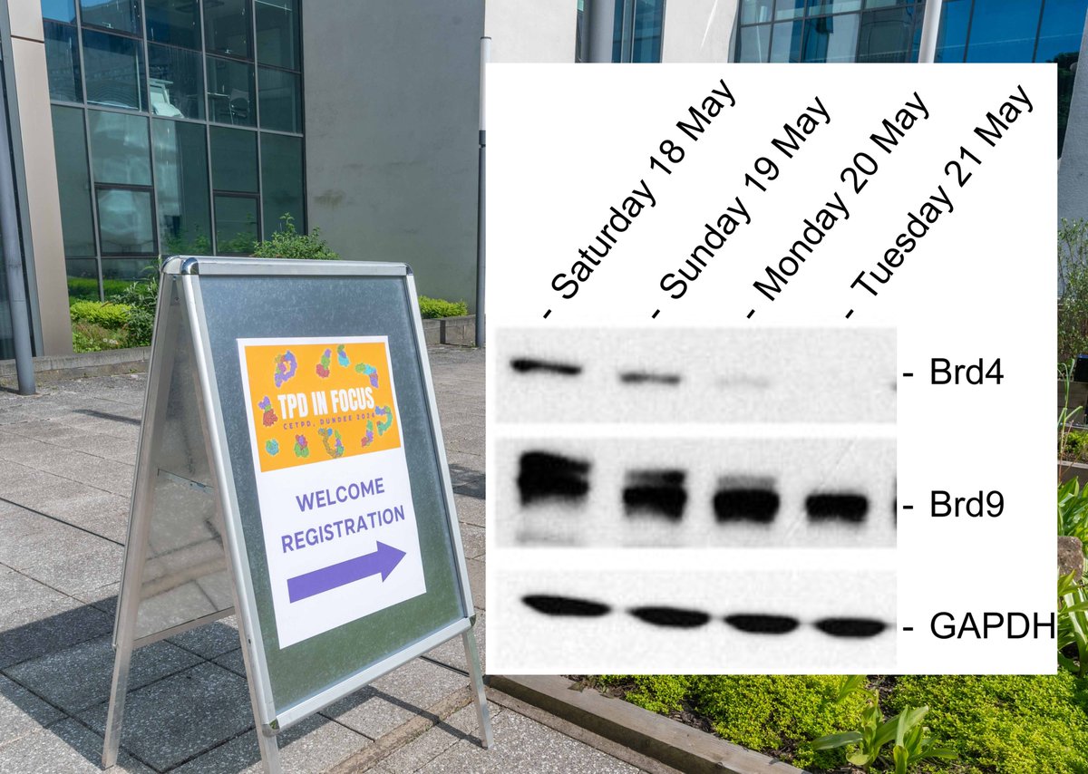 Mark A. Nakasone tweet media