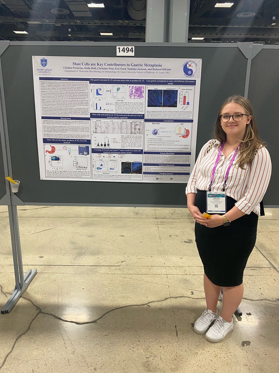 Stella Hoft tweet media