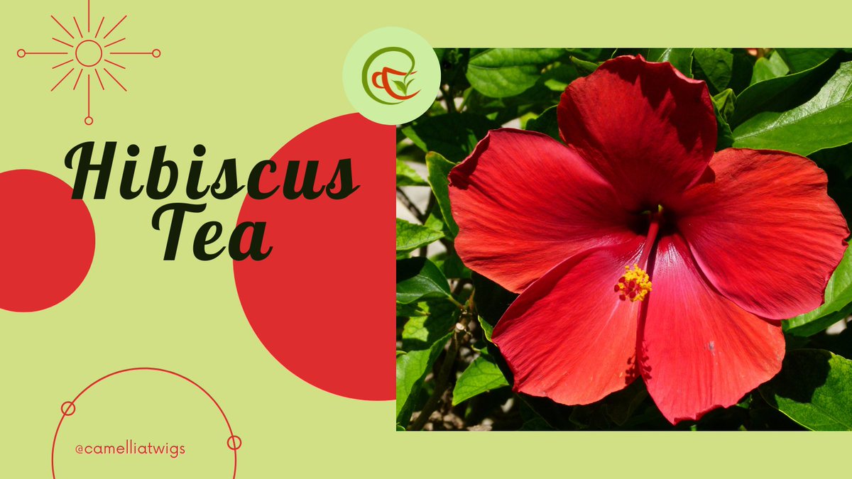 CamelliaTwigs's tweet photo. Need an afternoon pick-me-up? Our energizing Iced hibiscus is just what you need. Citrucy, bright, and packed with antioxidants. Cheers to a tea boost!  #Hibiscuslove #healthyenergy #IcedTeaTime #summerfun #fruittea #teaduo #camelliatwigs #chaiwalah #cooldrinks #teatime https://t.co/VmxJIJudlj