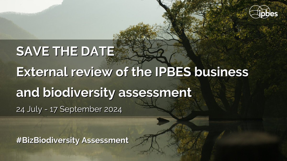 📣SAVE THE DATE📣 The (only) planned external review of the @IPBES #BizBiodiversity assessment is coming soon! 📆24 July - 17 September 🗣️Who? Governments, scientists, experts, businesses, decision-makers, knowledge-holders, etc. Stay updated⬇️ ipbes.net/business-impac…