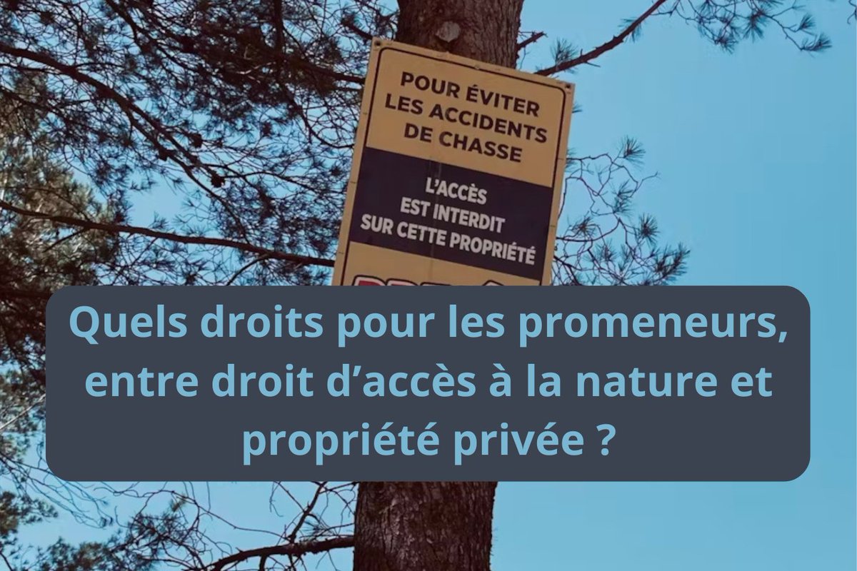 #Droit // L'accès aux espaces naturels privés🌲est désormais puni d'une amende de 135€. De quoi faire réfléchir lorsqu'on sait qu'en #France 75% des #forêts sont privées. Éclairage @FR_Conversation de Mégane Basset avocate & enseignante @Droit_Grenoble 🔗bit.ly/3VjLwOB