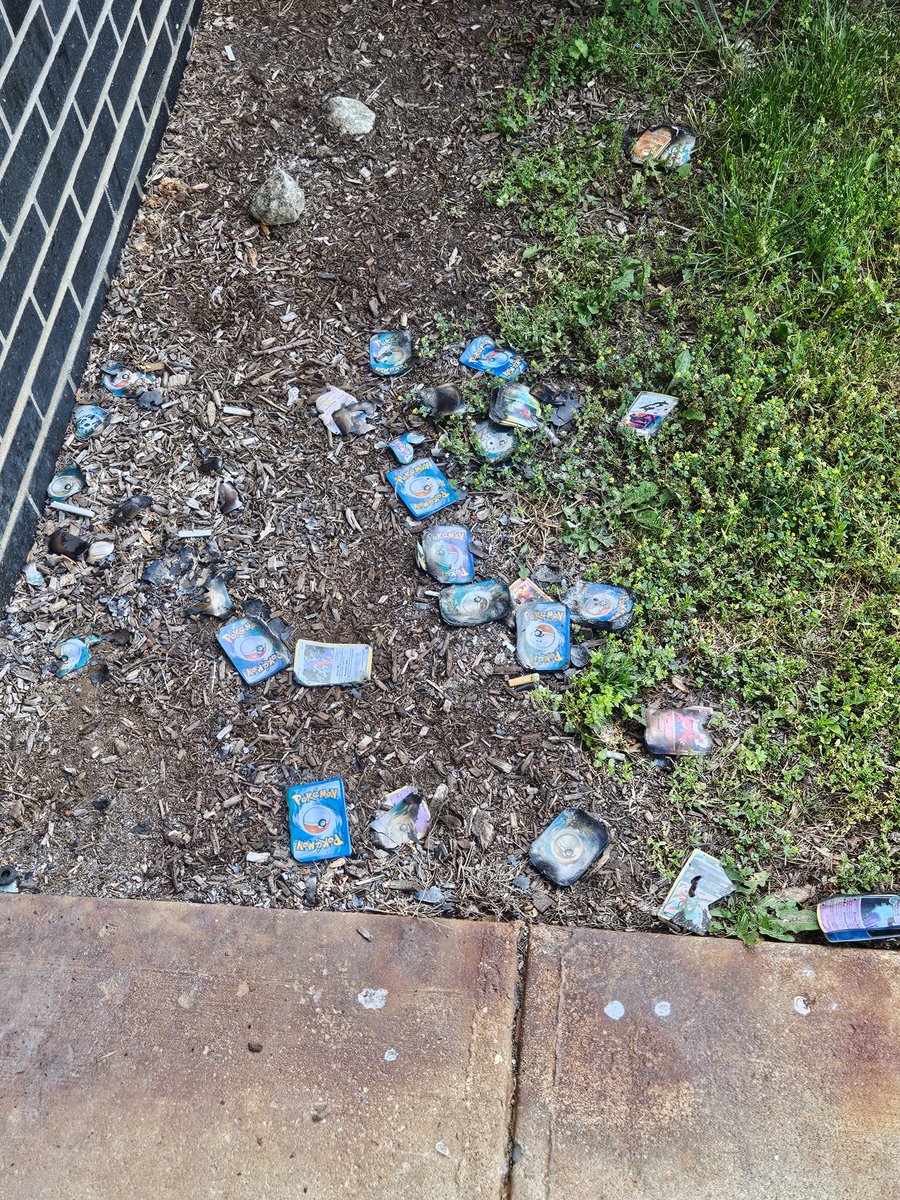 Should I Stay or Should Algo Now tweet media