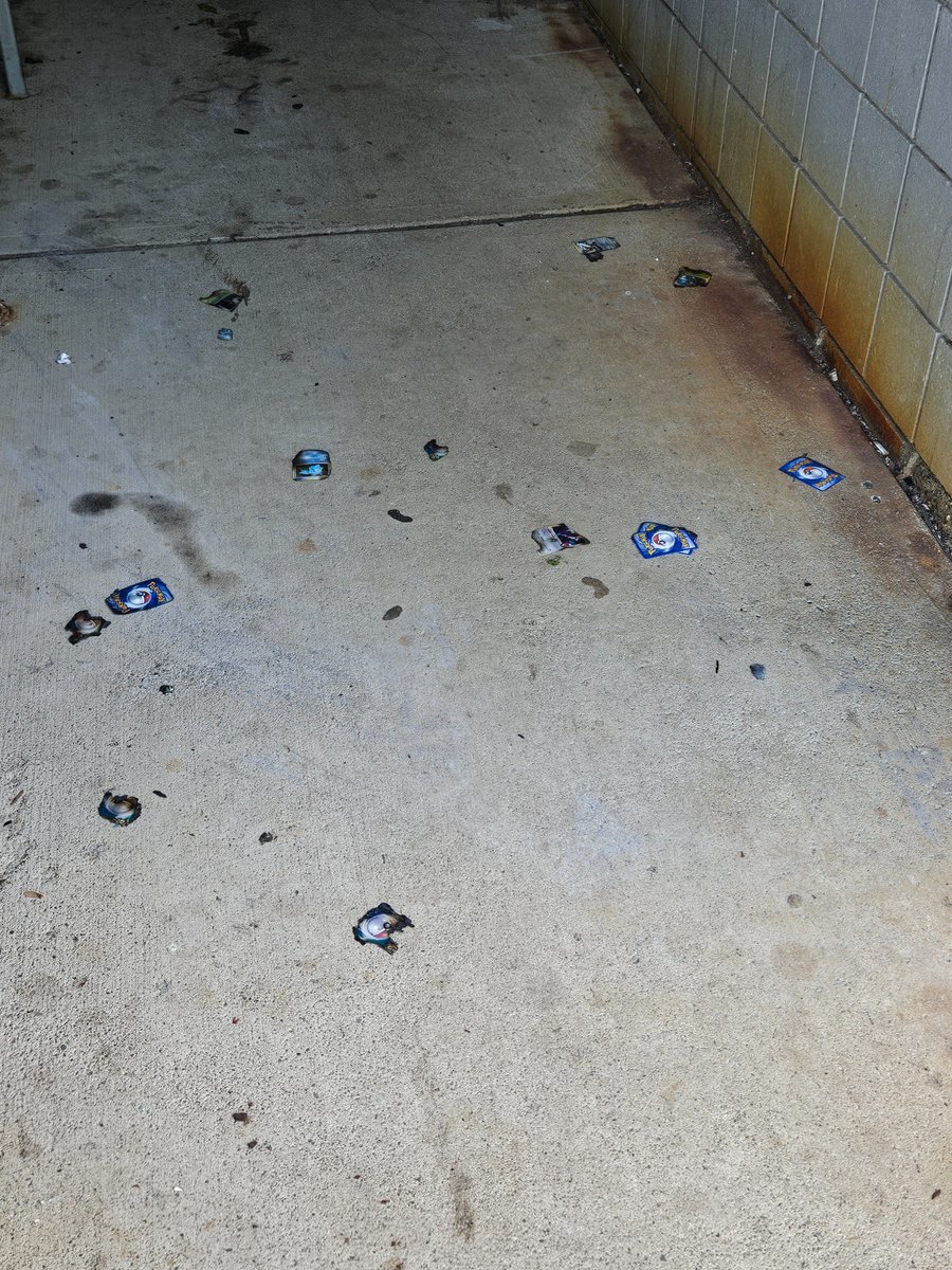 Should I Stay or Should Algo Now tweet media