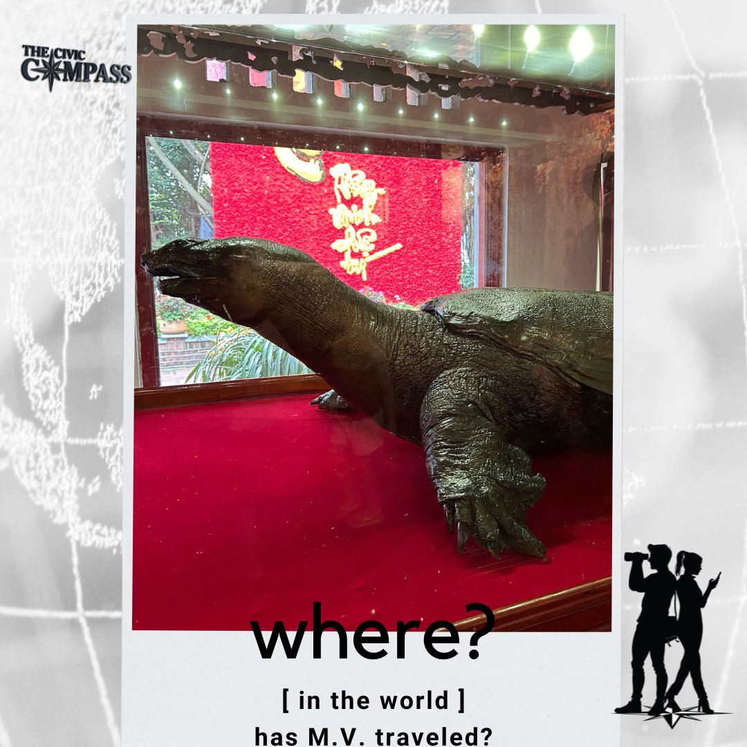This petrified creature is a symbol of the wisdom needed to decipher what is #truth and what is #misinformation...

Where in the #World has MV traveled?

#DiploBrats #disinformation #travel #teen #travellust