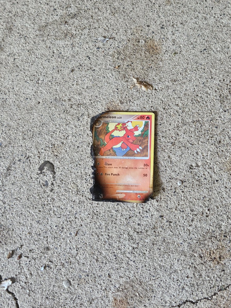 Should I Stay or Should Algo Now tweet media