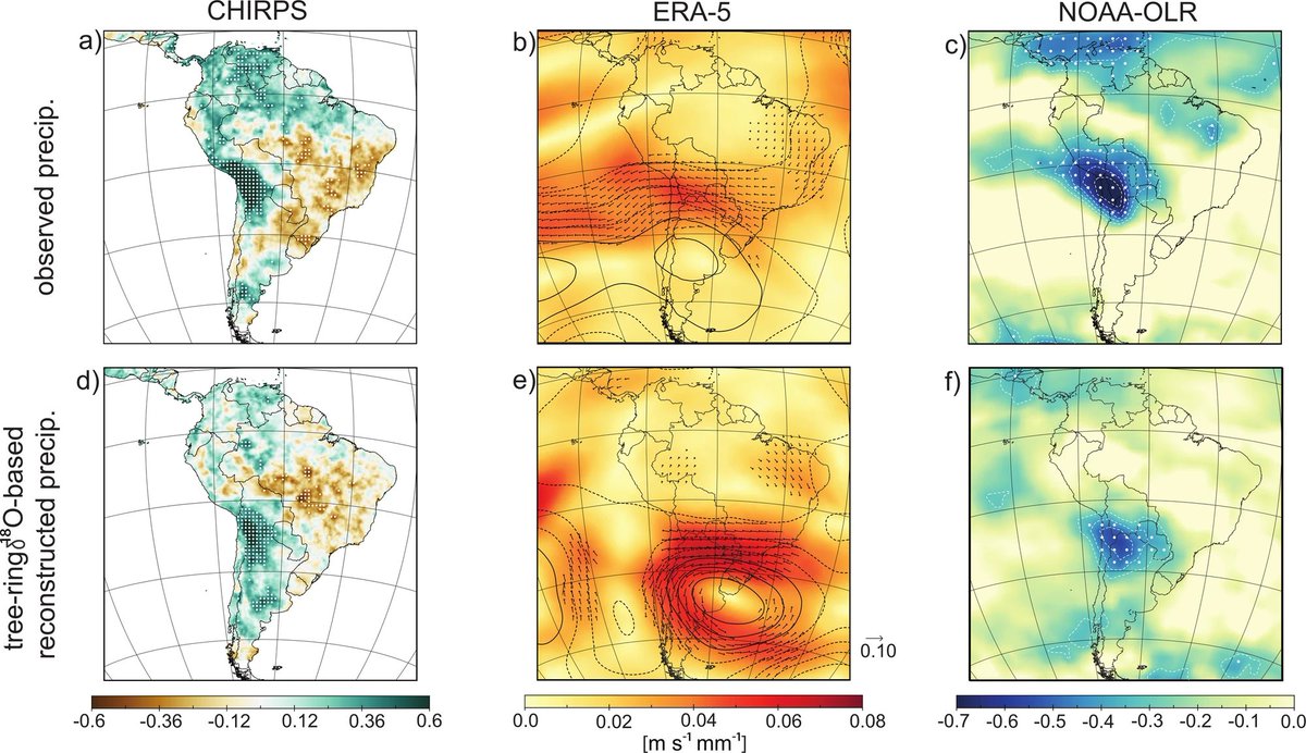 🌎#SouthAmerican science! 🌳Tree rings from across the South American #Altiplano provide a precipitation record for the tropical Southern Hemisphere that is sensitive to decadal hydroclimate teleconnections and correlates well with other proxy records. 📰👉rdcu.be/dIzG9