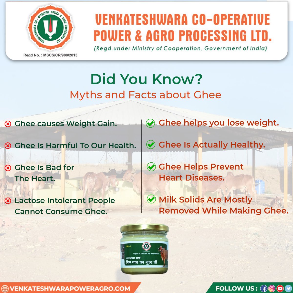 Ghee Myths vs. Facts: Surprising Truths!
Ghee: The Truth Unveiled 🌟 From weight loss to heart health, ghee is full of surprises! Find out the facts and forget the myths
#venkateshwaracooperative #powerandagroprocessing #sahakarsesamridhi #healthfacts #didyouknow #nutritionmyths