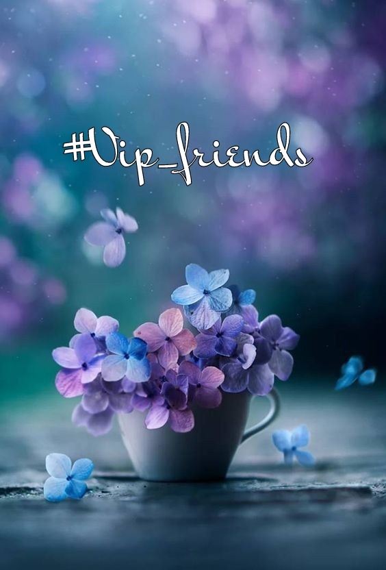 #VIP_FRIENDS ⭐ @Bn_gsh2 @Dni_40 @SHS_1981 @Jess_e1_ @ALANA_T7 @As_t40 @Pir_80 @Ruth_111_ @SOY_ALESXIA2 @MARTHA_CAN2 @_Fiel_Seguidor @monicampon @_ALESXIA @MSTQ86 @MoniT__ @Alaga4040 @seraichiban3 @_B_RANDON6 @NEENAH678 @SINGHASINGH @LauraMi25356713 @Jamesspencer211 @VIO_LET9