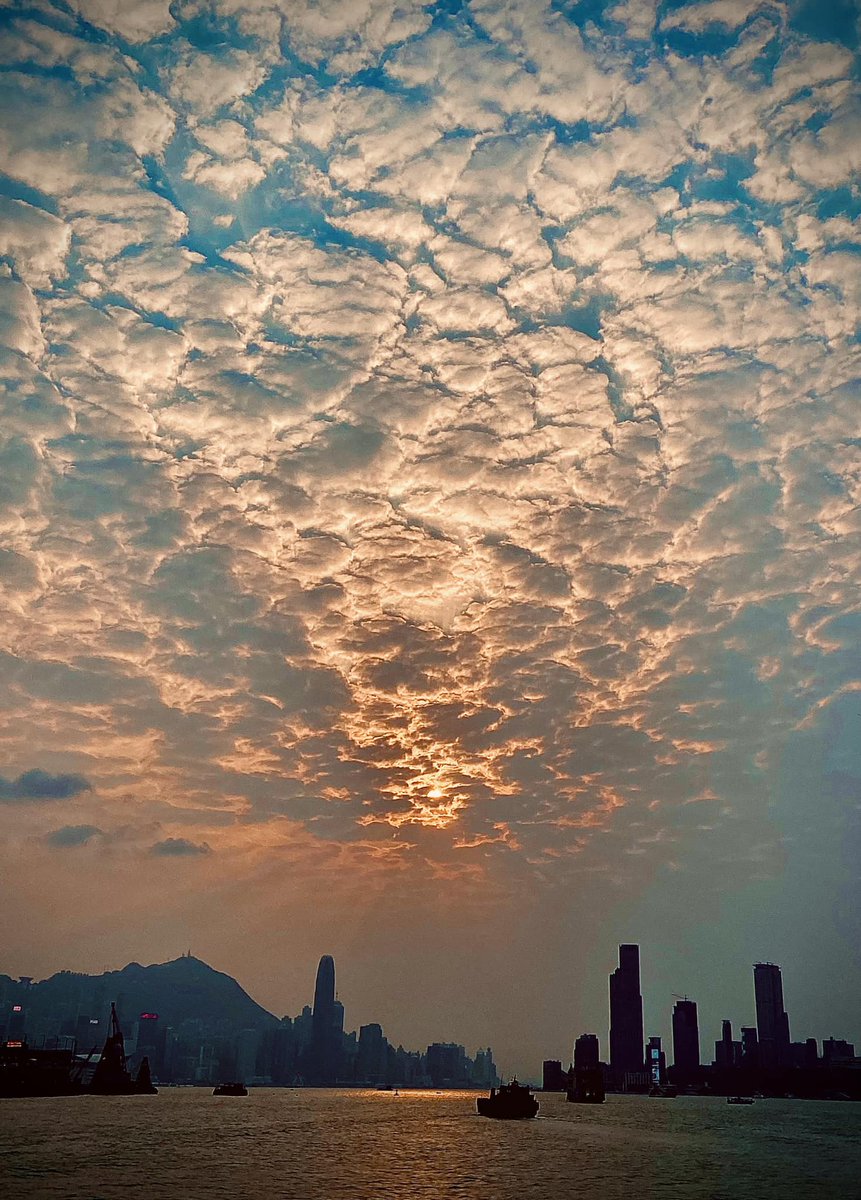 'Hong Kong's stunning Victoria Harbour.' 🙏🏼🌏🕊️ 📷 Photo by Dickens Yuen©️ | @CloudAppSoc