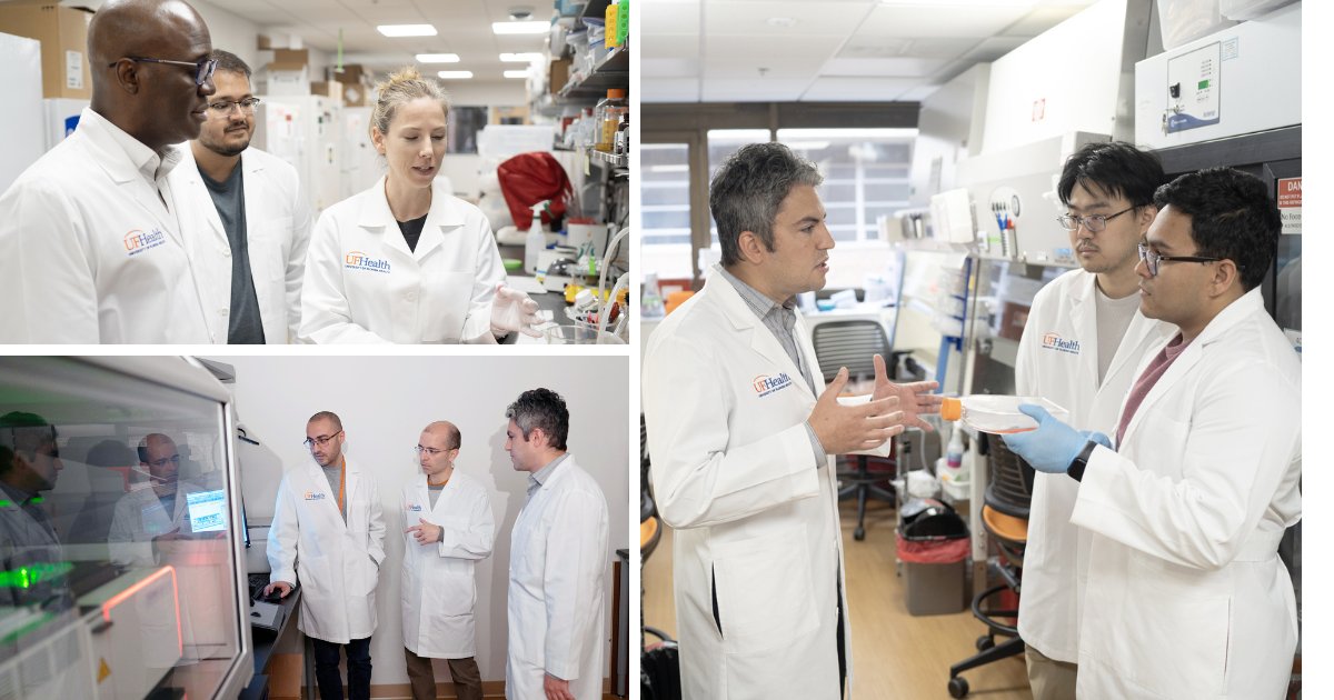 UFMBI's tweet photo. .@CellCellPress study by MBI researchers reporting that an mRNA cancer vaccine quickly reprogrammed the immune system to attack glioblastoma has received media coverage across the globe from @el_pais to @usnews to @IFLScience to @Independent.

Learn more: https://t.co/rusDFaCG0D https://t.co/7hxy47Jkkv