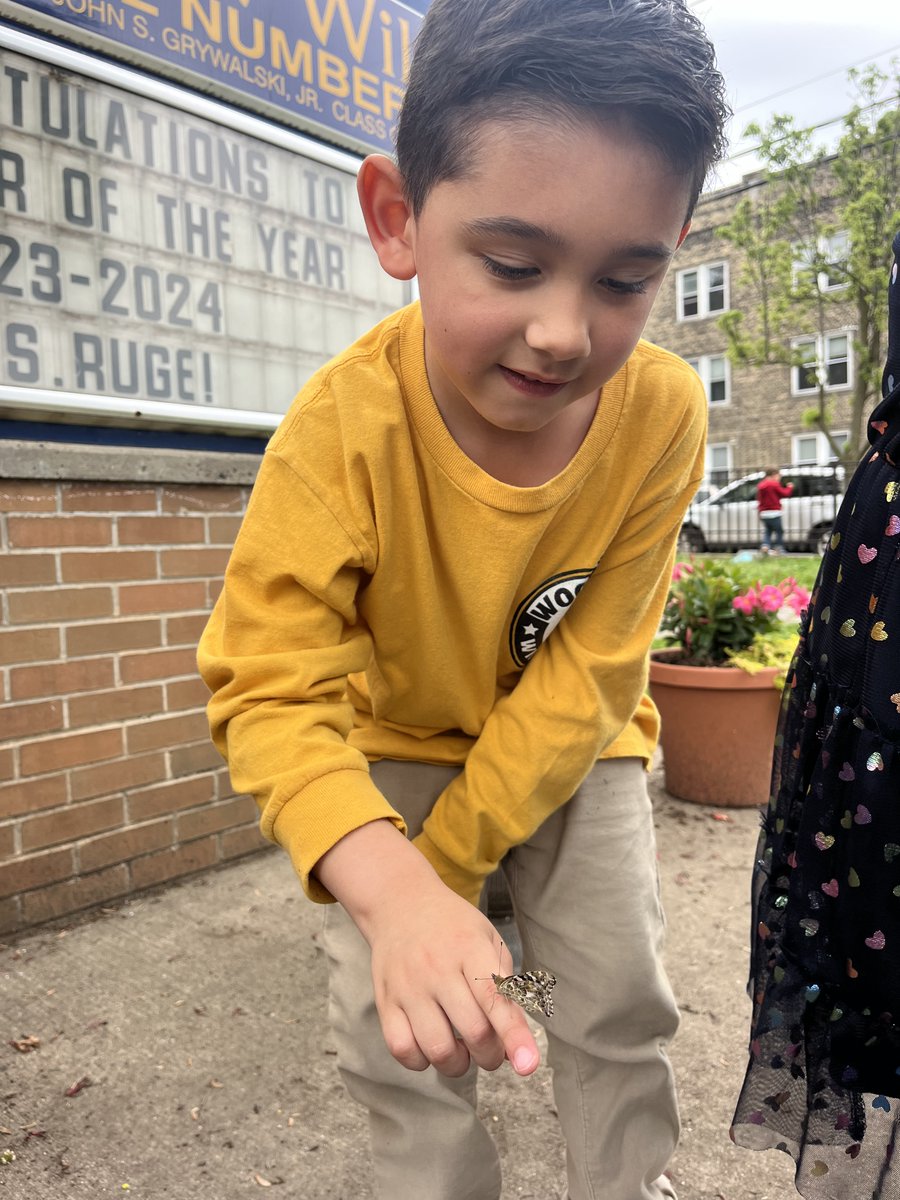 Beautiful🦋– Students in Ms. McCabe’s Pre K4 @WWWildcatPride learned about the life cycle of a butterfly.