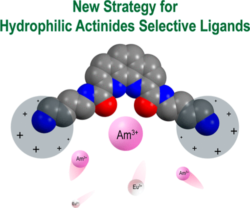 Amine-Terminated Phenanthroline Diimides as Aqueous Masking Agents for Am(III)/Eu(III) Separation: An Alternative Ligand Design Strategy for Water-Soluble Lanthanide/Actinide Chelating Ligands pubs.acs.org/doi/10.1021/ac… Tang, Wang, Xu, & co-workers @InorgChem #Am #Eu #masking_agents