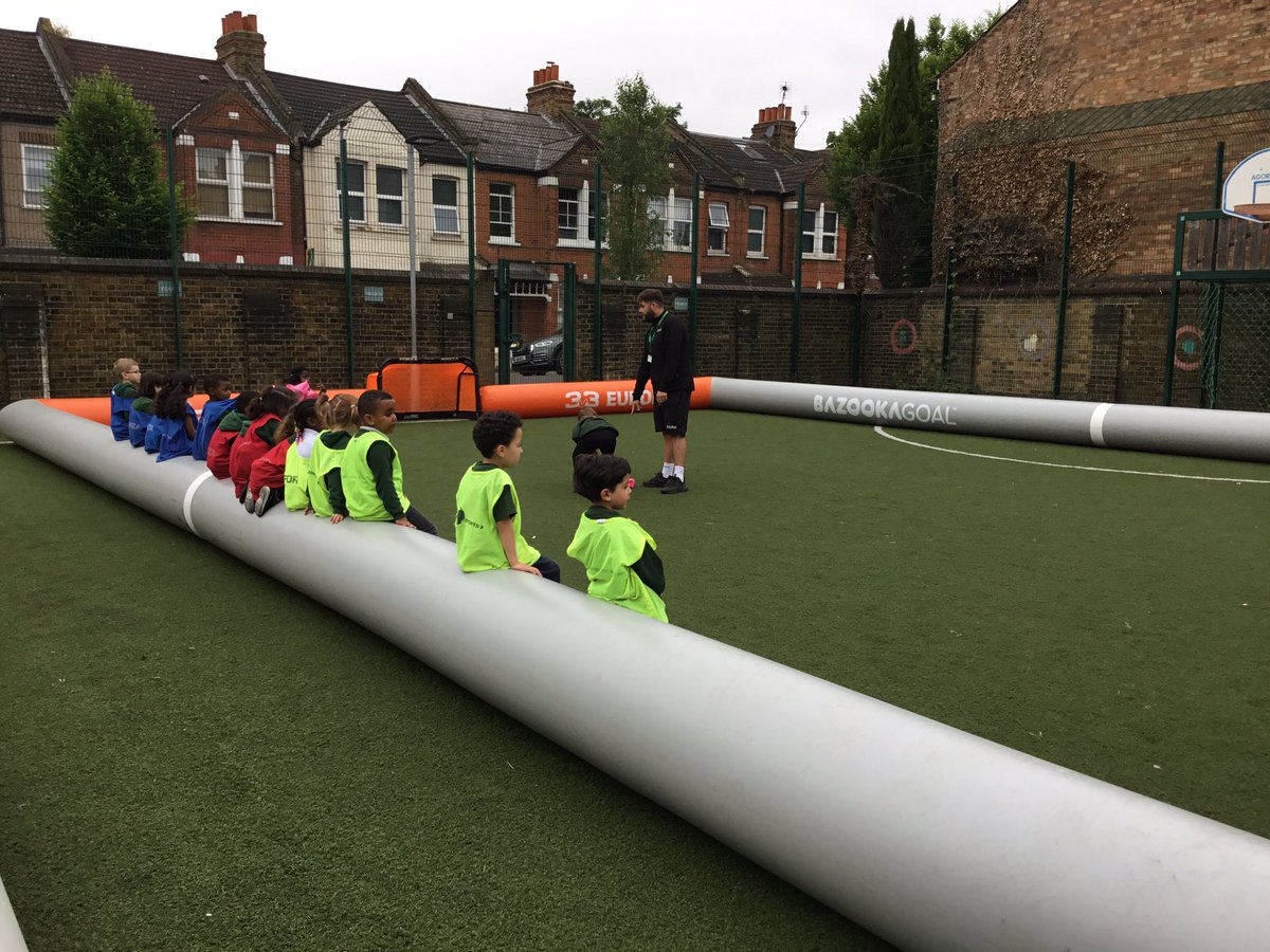 Goldfinch Primary tweet media