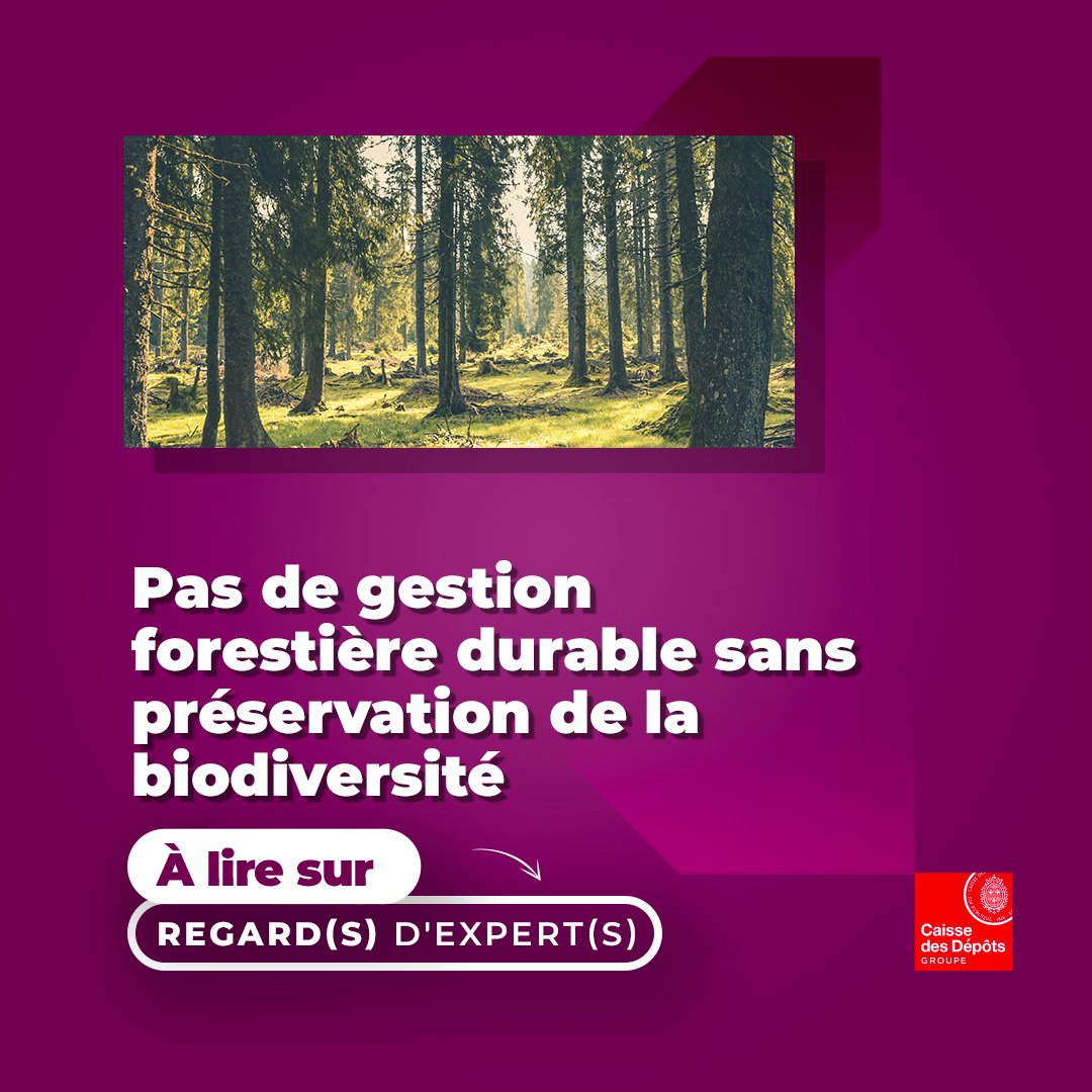 Nos forêts s’étendent sur environ 17,3 millions d'hectares et offrent un habitat vital pour une multitude d'espèces puisqu’elles abritent près de 80% des espèces mammifères terrestres et accueillent environ 75% de la flore et des champignons présents💡 👉urlz.fr/qLeq