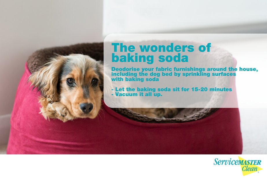 Not just for cooking! But Baking Soda is sooo useful for cleaning & removing smelly odors! It can lower pH levels & neutralize some substances, making smells disappear! And when you need professional odor removal, we're available 24/7! #cleaning #odors #TuesdayTip