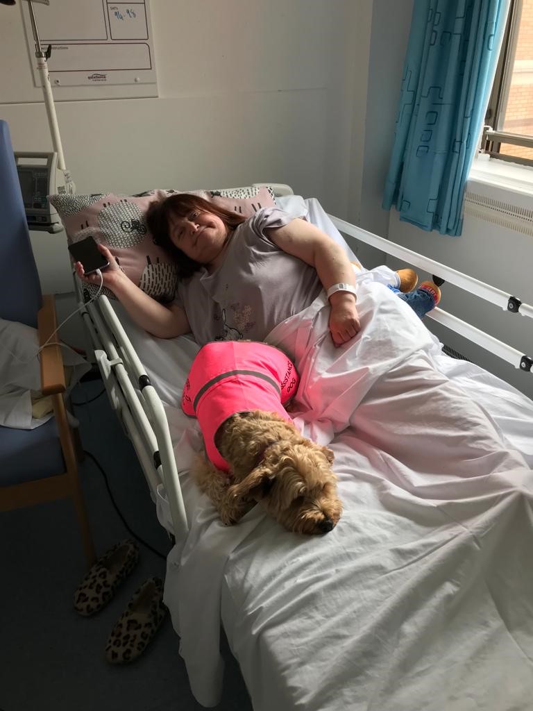 There are many assistance and support animals who help our families. See Mindy supporting Jodie as a reasonable adjustment when she was in hospital