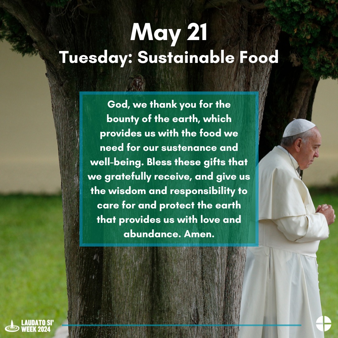 And I brought you into a plentiful land to enjoy its fruits and its good things. Jeremiah 2:7 
 #LaudatoSiWeek2024