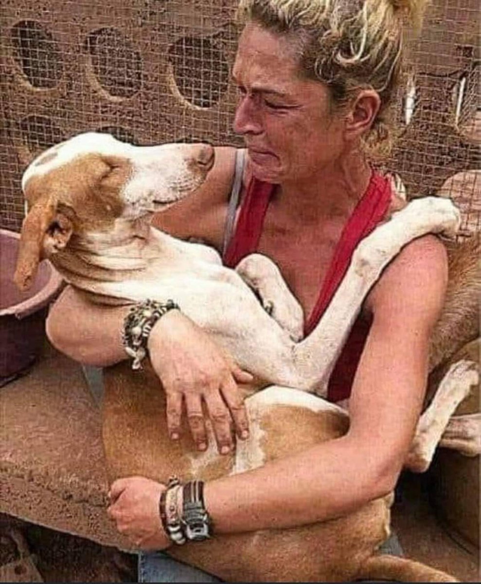 This lady visited a shelter to adopt a puppy, then she saw this old abandoned blind dog who had spend already many years in his box without the love of a family. She went home with this beautiful dog🐾🐾♥️