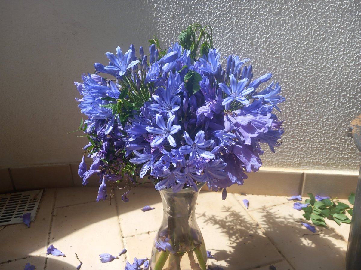 bra_ruby's tweet image. 