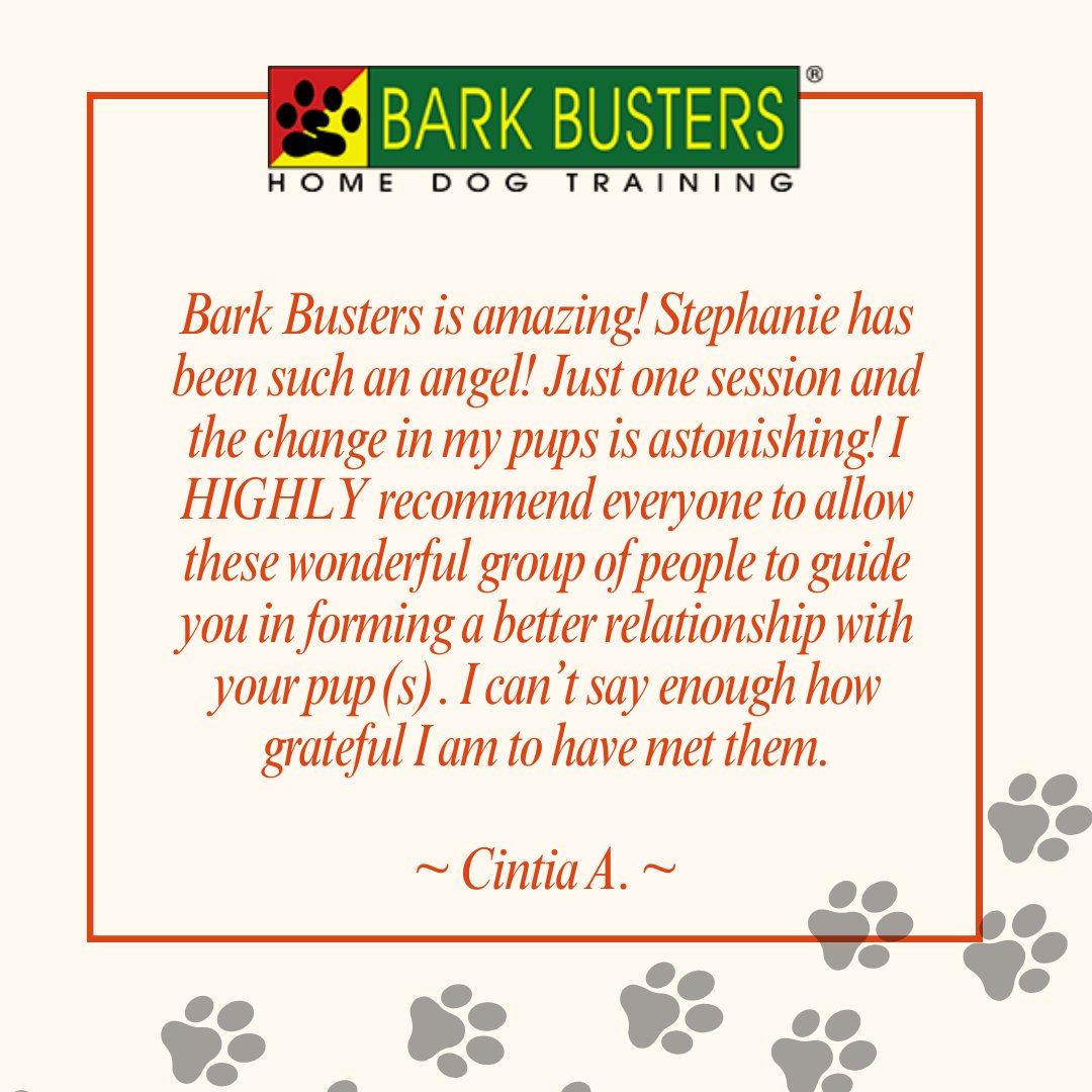 Experience the incredible transformation with Bark Busters! 
.
Visit bit.ly/BarkBustervall… to learn more.
.
#stephaniecurtis #dogtraining #puppytraining #valleydogtraining #inhomebehavioraltraining #caninecommunication