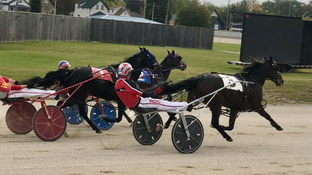 Hi everyone - as some of you know, I have been quietly working on obtaining my driver’s license for harness racing. I have completed 8 qualifying drives so far, and have accumulated 40 of the required 50 points. I could potentially reach this goal in as little as two more