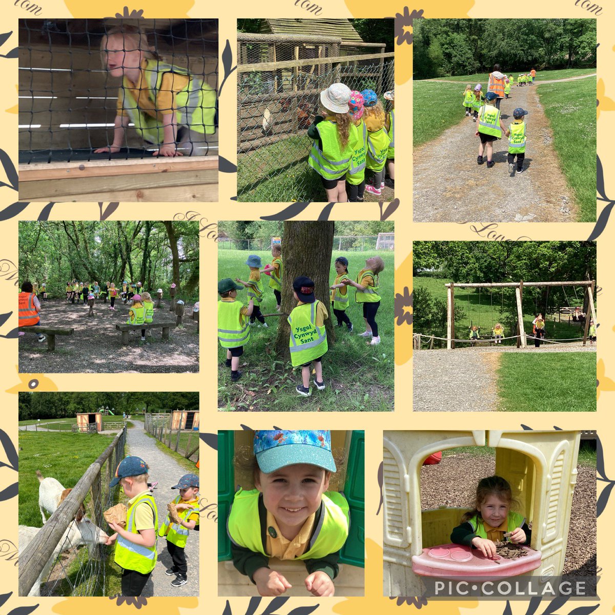 Wythnos Iechyd a Lles - Trip dosbarth i Fferm Wiggleys🐖🐑🐓🪵🌱Cafon ni amser arbenning yn bwydo’r anifeiliaid a chwarae yn y parc😎 Health and Wellbeing Week - Class trip to Wiggleys Farm🐖🐑🐓🪵🌱We’ve had an amazing time feeding the animals and playing in the park😎