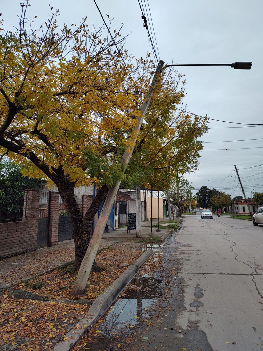 Claudiaromanook's tweet photo. 💡La Dirección de Alumbrado Público,
luego del pedido que hicimos vinieron a  reparar u  poste por riesgo de caer, en barrio alto la polvora - villa 9 de julio, dirección delfin gallo 133. 
Dirigente Claudia Romano 💙 https://t.co/NbhEODuVmx