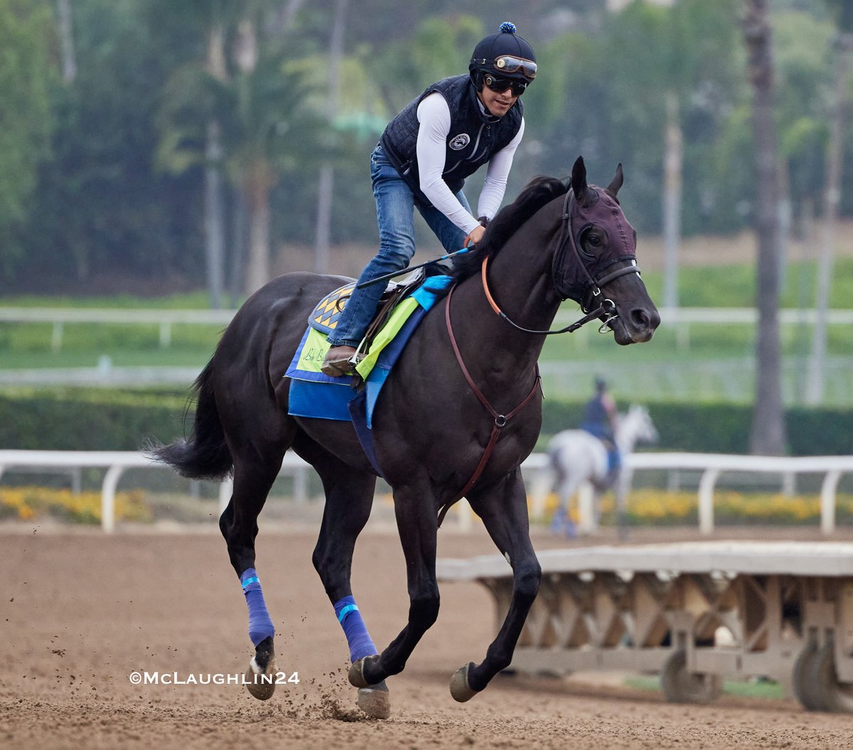 Nice looking bullet half in 46.20 for Midland Money yesterday under Erick Garcia working inside of an unnamed filly (out of Unanimity) with Juan Ochoa up for HoF trainer Bob Baffert @santaanitapark @ZedanRacing @BobBaffert @Ersick05